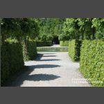 Bayreuth Eremitage - Im Kanalgarten